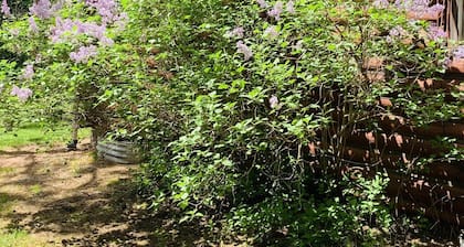 Whispering Pines 7 acre 3 Bedroom 2 Bath Pet Friendly 4 Season. On trail 8.