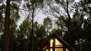 Una cabaña con ventanas amplias y techo inclinado, rodeada de árboles altos.