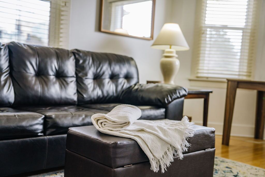 TV, DVD player, video library