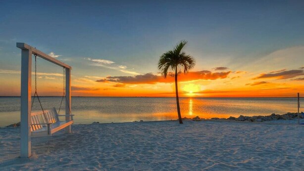 Una playa con una hamaca y una palmera.