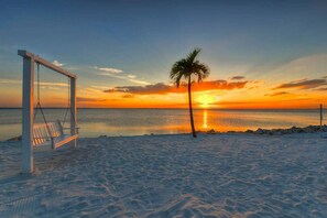 A beach with a swing chair and a palm tree. - Waterfront! 10 min to airport/Near stadium (Tampa)