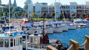 A marina with various boats docked, a waterfront building with multiple stories, and a church with tall spires in the background.