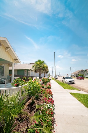 Traditional homes line the quiet, paved street with front porches.