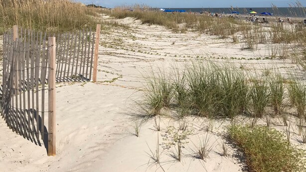 A sandy beach with a wooden fence and sparse vegetation.