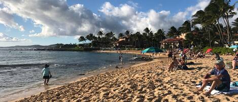 A beach with people sunbathing and swimming, palm trees, and houses in the background.