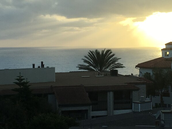A coastal residential area with buildings, a palm tree, and the ocean in the background. - PACIFIC PARADISE 49 steps to beach Stunning View! (San Clemente)