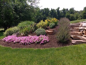 Área da propriedade