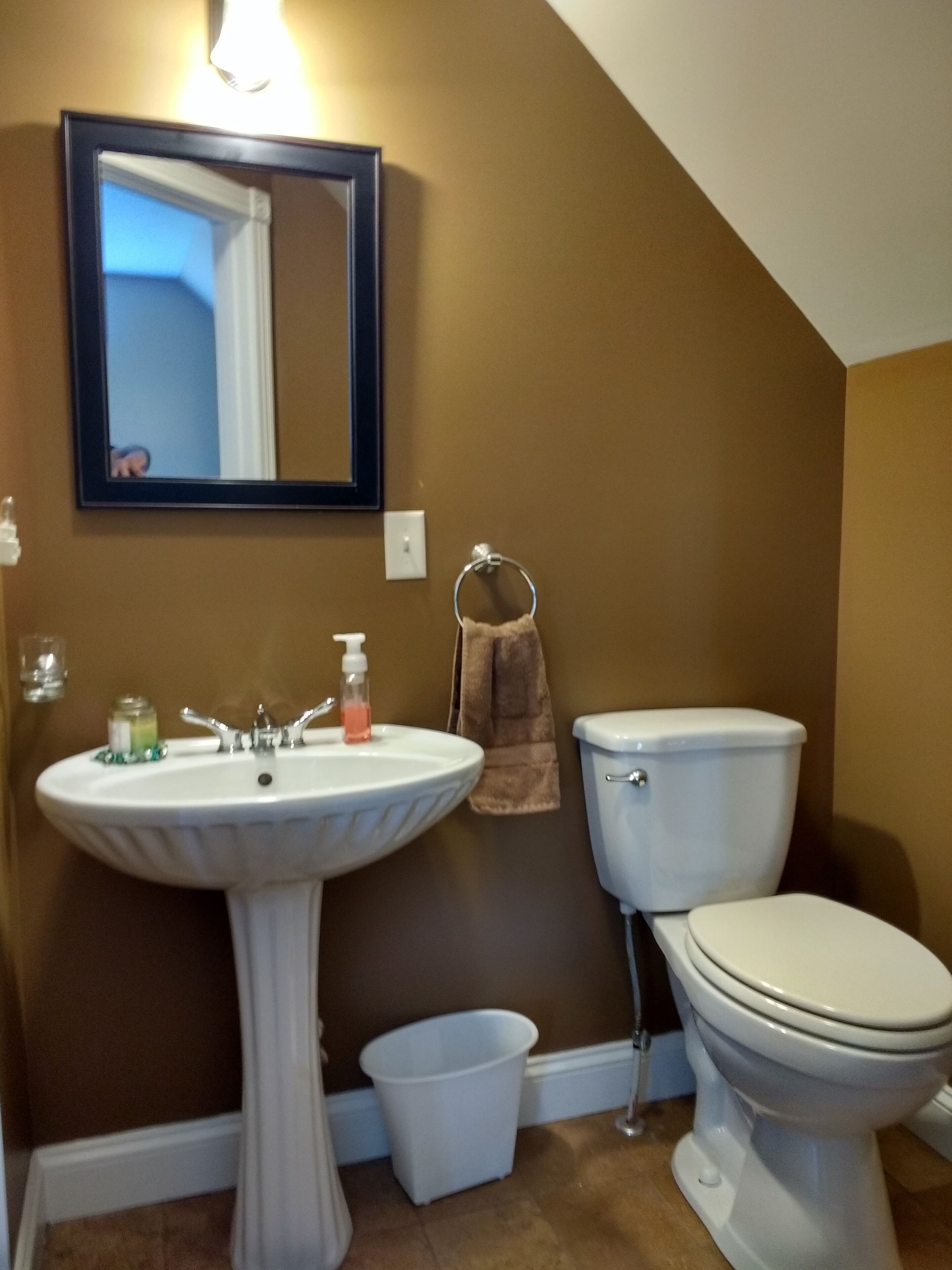 A bathroom with a pedestal sink, a toilet, a mirror, and a towel rack.