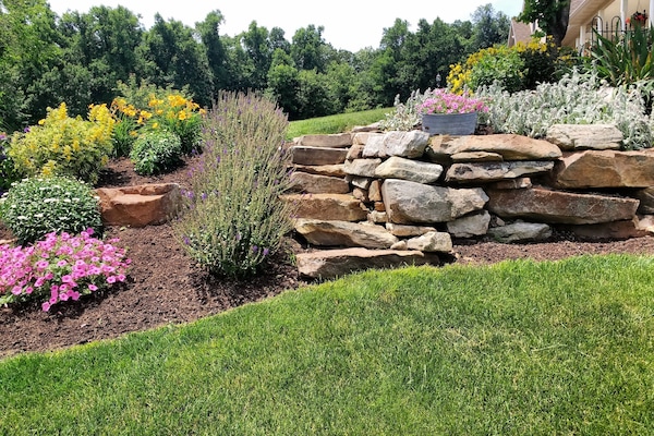 Áreas de la propiedad