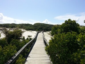A wooden boardwalk leading to a beach with dense greenery on both sides. - Peaches and Beaches.... come eat some fresh peaches, close to the island beaches (St Marys)