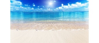 Siesta Key Beach IDEAL LOCATION BEACH, VILLAGE, HEATED POOL