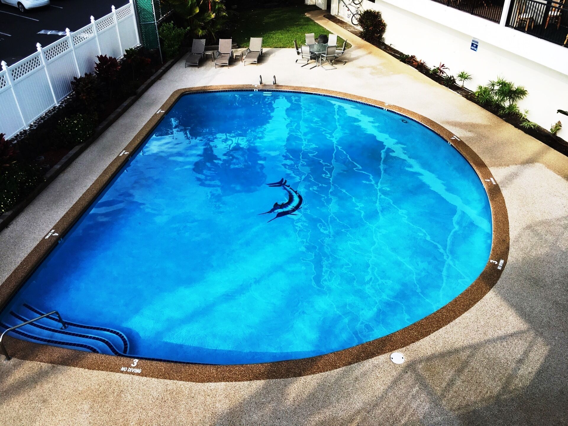 室外泳池、暖水池