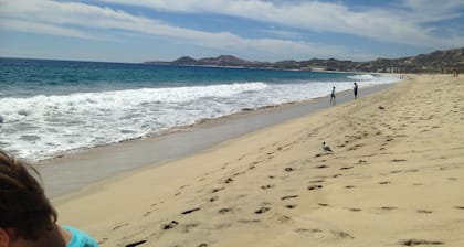Beautiful brand new condo in San Jose Del Cabo - Peninsula
