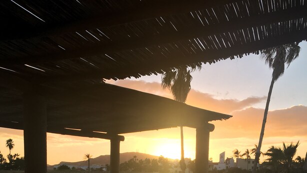 Une vue sur le coucher de soleil depuis une piscine couverte, agrémentée de chaises longues et de palmiers.