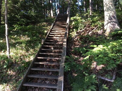 Private, woods, trails, Duck Lake access, Kayaking, Interlochen concerts