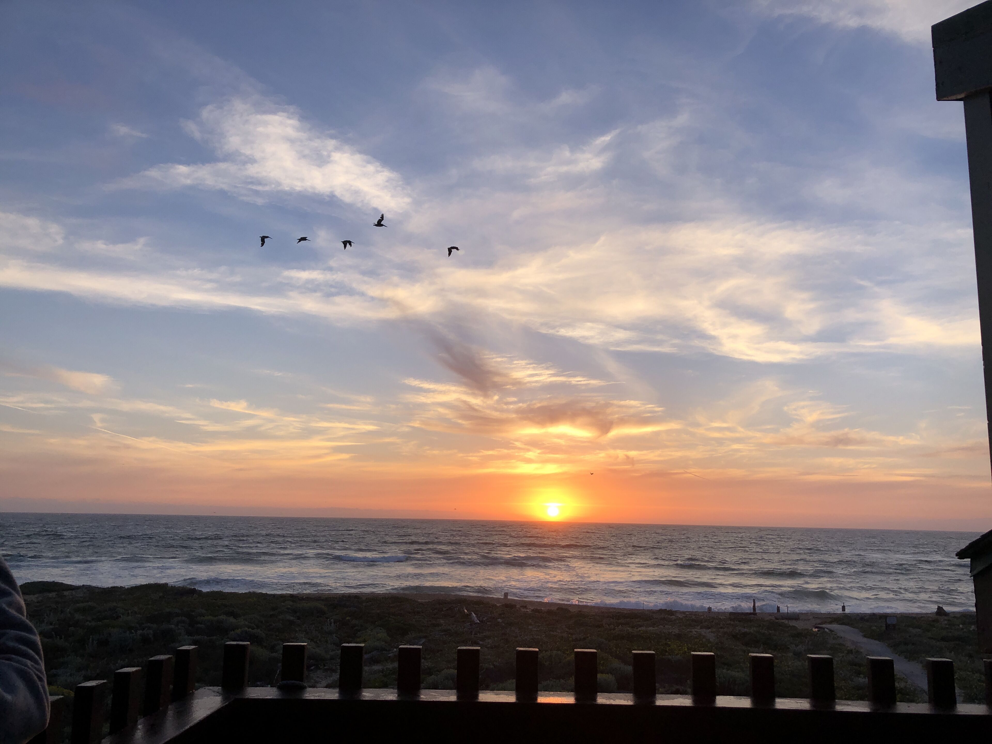 Un atardecer sobre el océano con aves volando en el cielo.