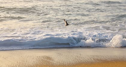 28 Sec Walk to Beach: Steam shower, Lululemon Mirror, Power Outage-Free Living