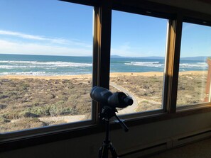 Ein Teleskop auf einem Stativ vor einem Fenster mit Blick auf einen Strand.