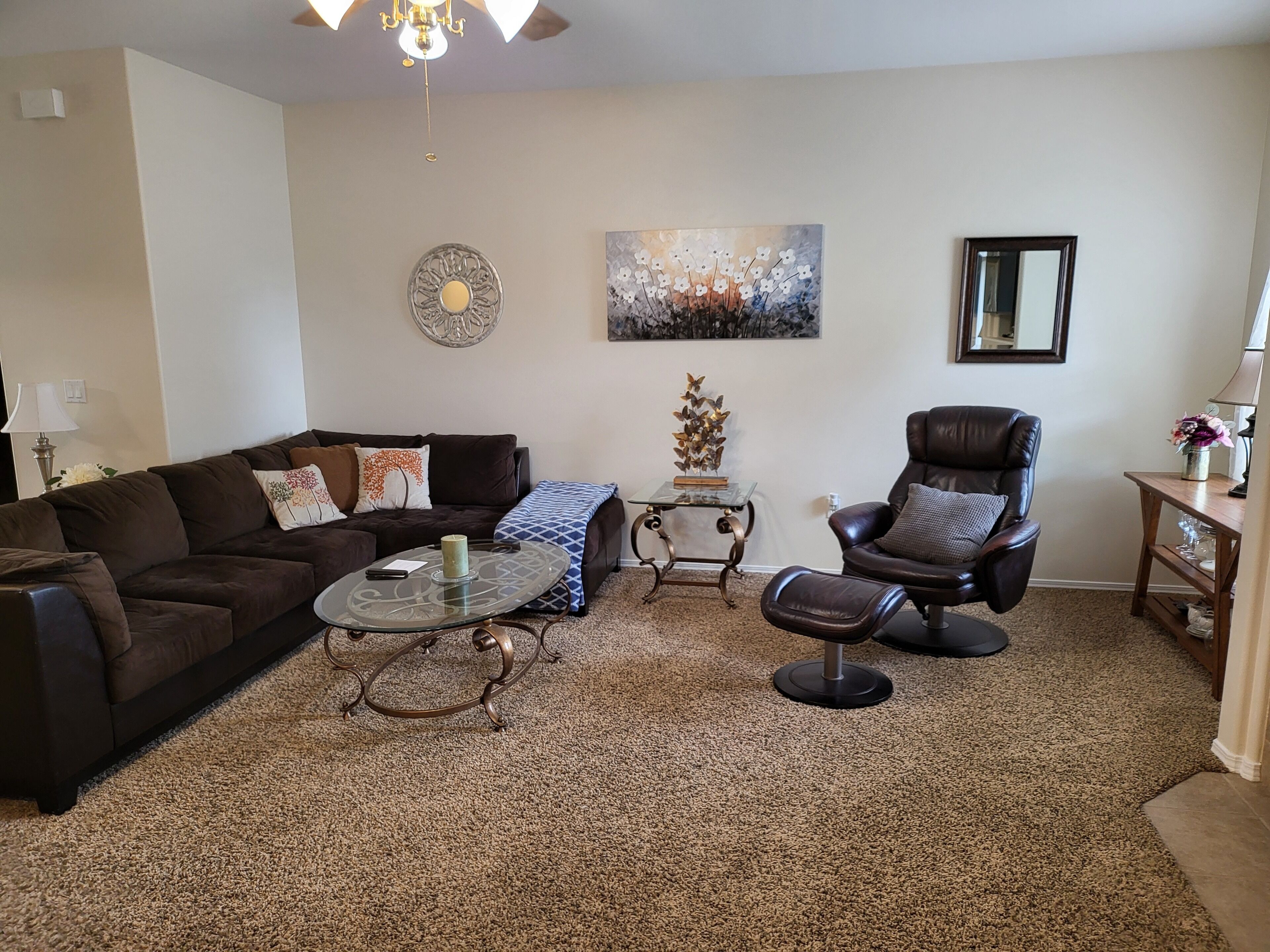 Smart TV, fireplace, DVD player, video library
