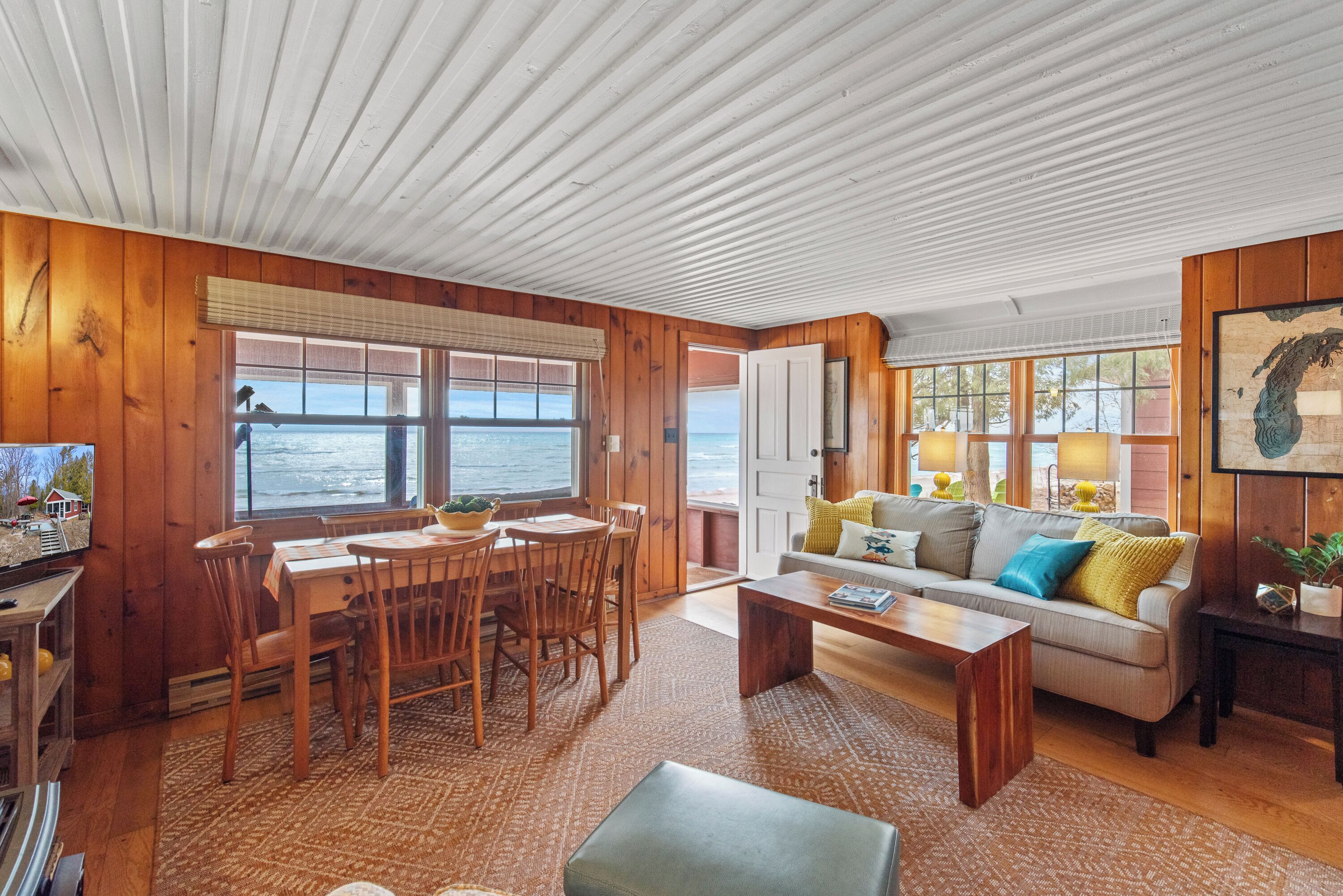 TV connectée, cheminée, lecteur de DVD, livres