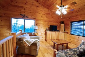 Smart TV, fireplace, DVD player, video library