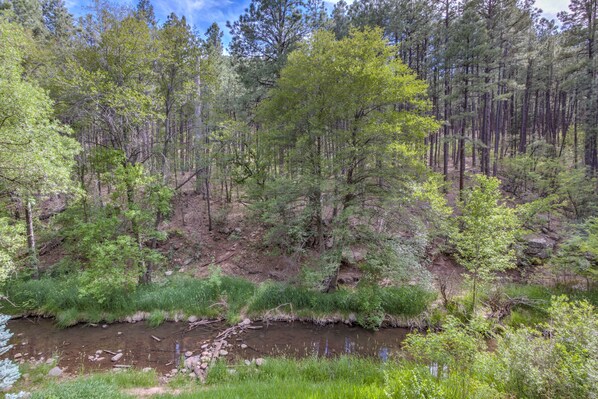 A forested area with a stream, dense trees, and a rocky terrain. - Large, Beautiful Cabin on Tonto Creek in Kohl's Ranch /Game Room/Hot Tub/Views (Payson)