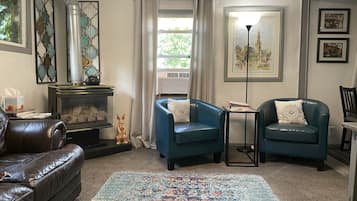 Smart-tv, een open haard, een dvd-speler en boeken