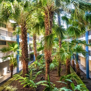 A courtyard with palm trees and a building with balconies.