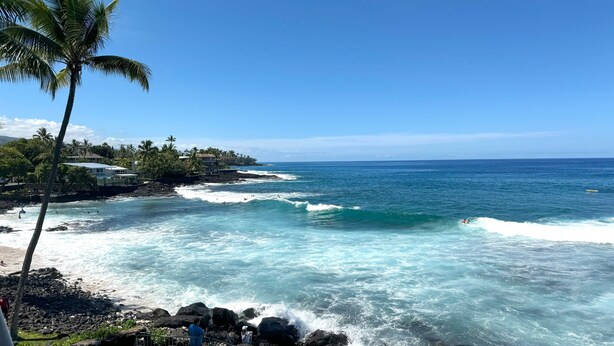 Une vue côtière avec un rivage rocheux, des palmiers et des vagues de l’océan.