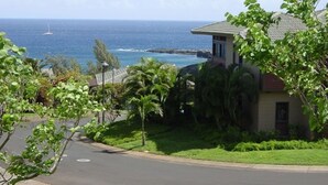 A residential area with a house overlooking the ocean, featuring a paved driveway and lush greenery. - Condo in Kapalua!! (Maui)