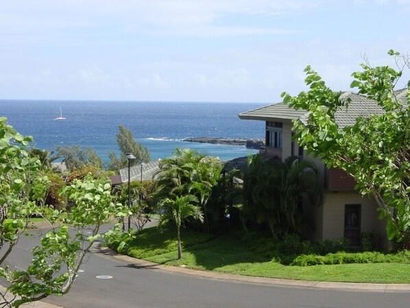 A residential area with a house overlooking the ocean, featuring a paved driveway and lush greenery.