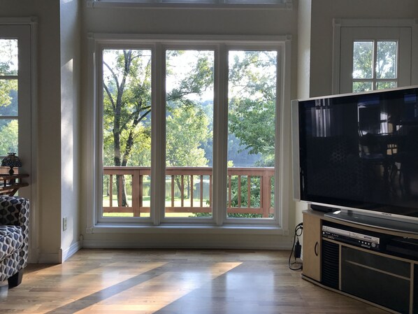 Smart-TV, DVD-Player, Bücher, Videothek