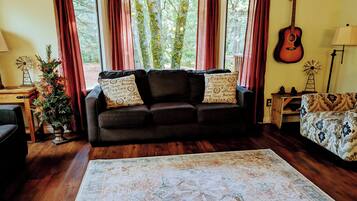 TV connectée, cheminée, jeux vidéo, lecteur de DVD