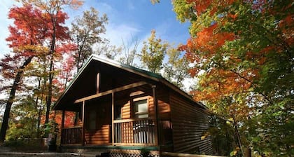 Mindblowing Mountain View FREE Dollywood Pass Romantic Private Pool Table