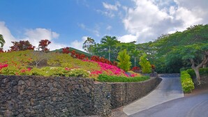 A landscaped area with a stone retaining wall, a curved road, and various plants and trees.