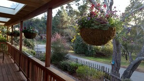 Une véranda couverte, ornée de jardinières suspendues remplies de fleurs, dotée d’une balustrade en bois et offrant une vue sur une route bordée d’arbres.