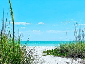 Sun-loungers, beach towels