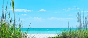 The Casa Coco | Coronado: Updated home, Heated pool close to S. Venice beach. 