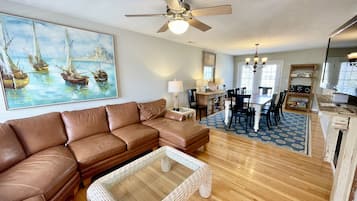 TV, fireplace, video games, DVD player