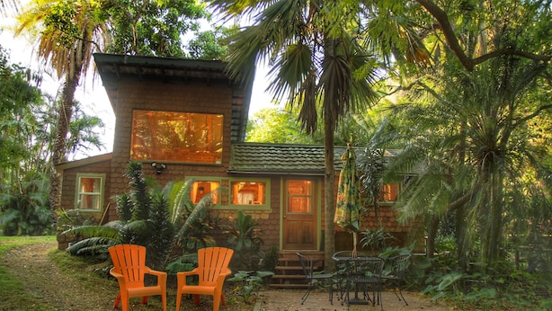 A rustic wooden house with a large window and a door, surrounded by lush greenery and palm trees.