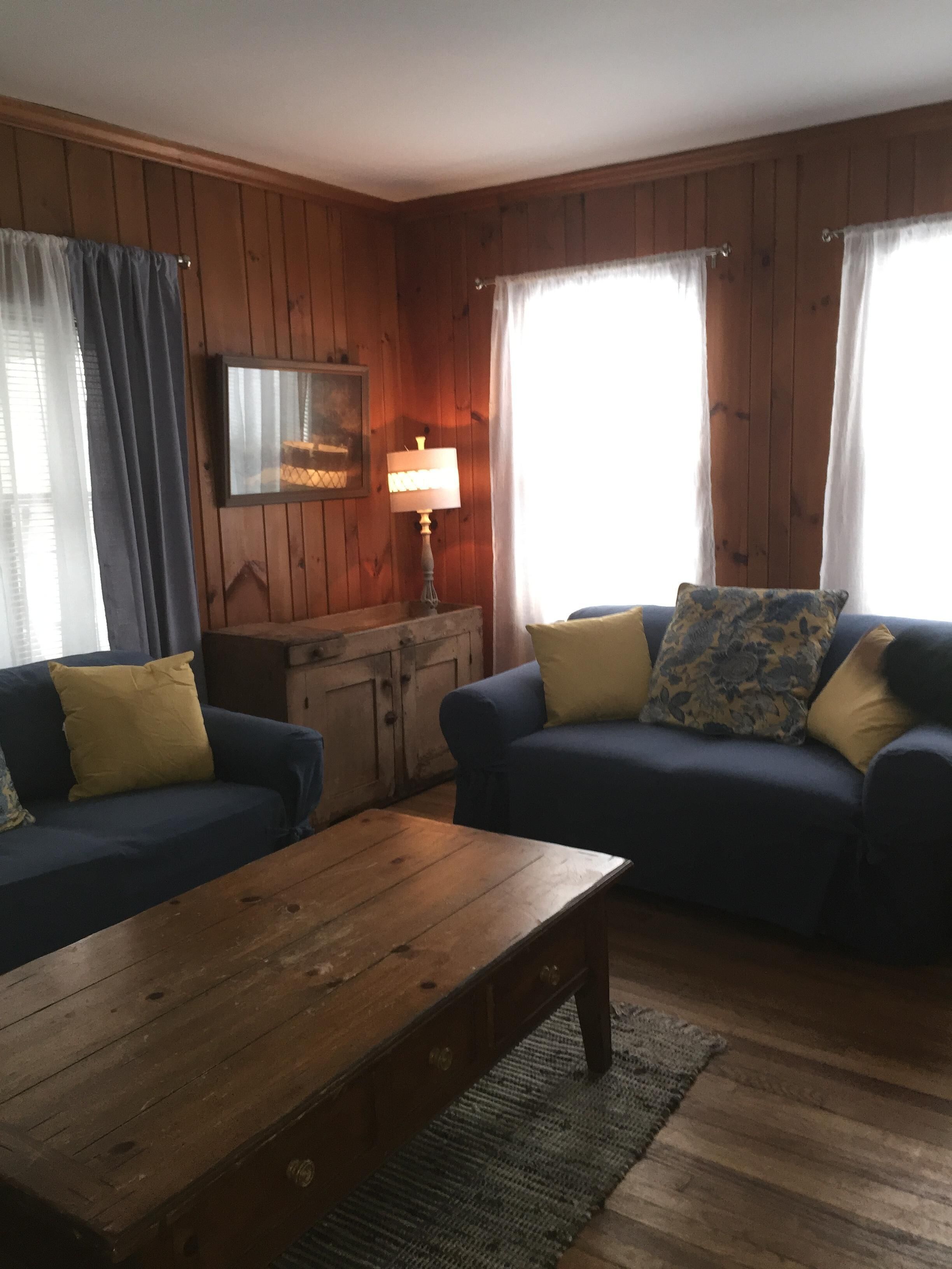 TV connectée, cheminée, lecteur de DVD, livres