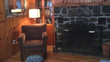 TV connectée, cheminée, lecteur de DVD, livres