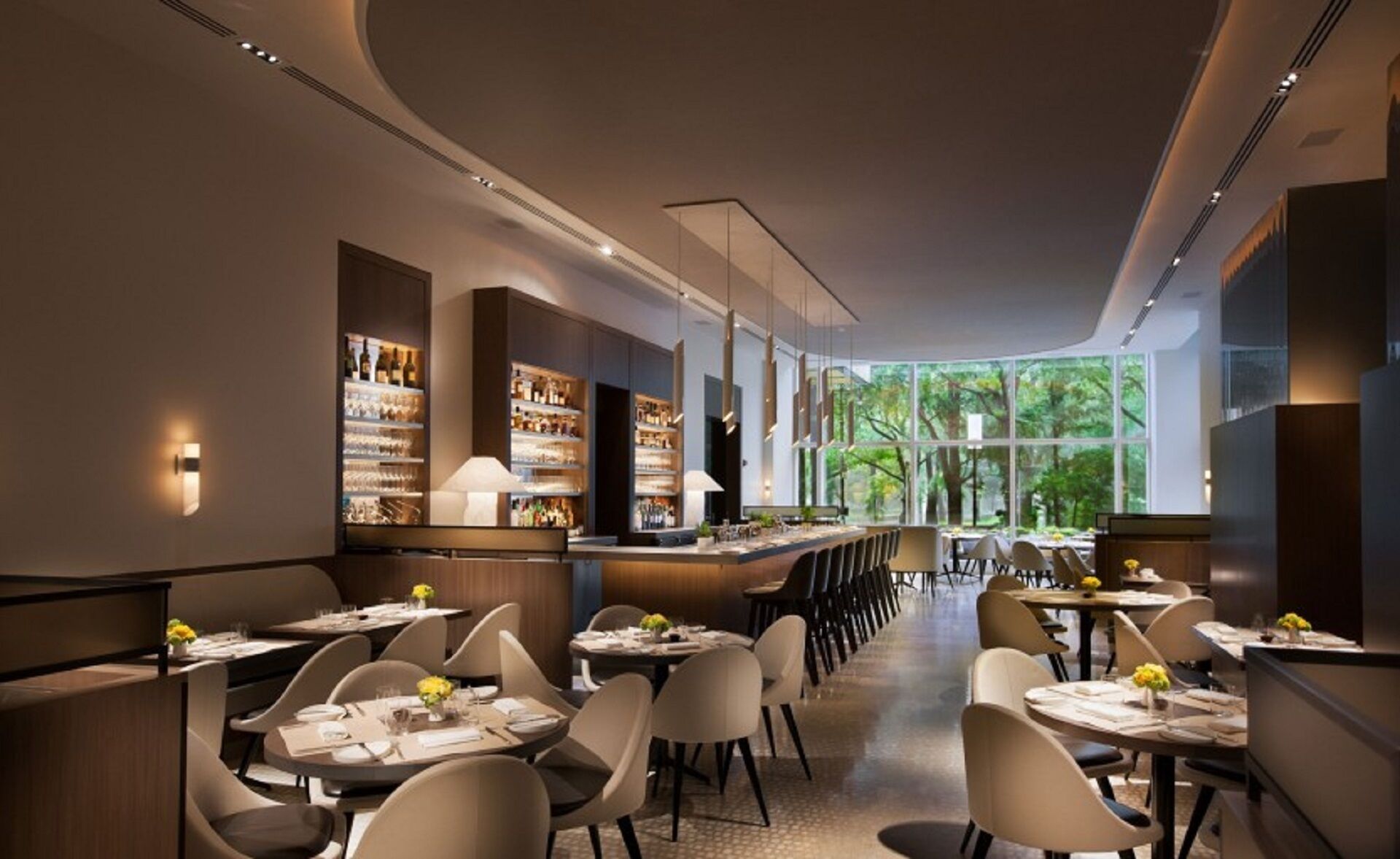 Un restaurant moderne doté d’un bar, de plusieurs tables et offrant une vue sur les arbres grâce à de grandes fenêtres.