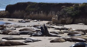 Playa en los alrededores, camastros y toallas de playa