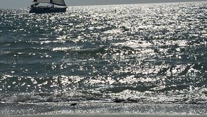 Ein Segelboot auf ruhigem Wasser unter einem klaren Himmel.