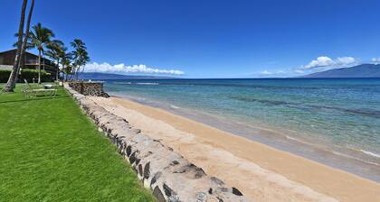 NEWLY REMODELED 1BR Ground Floor Corner Condo - Dual A/C in Ocean Front Resort.