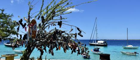 Un árbol con zapatos colgando de sus ramas, barcos en el agua y un cielo azul despejado.