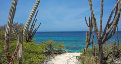 Kas Kris, a luxury and private villa with its own pool