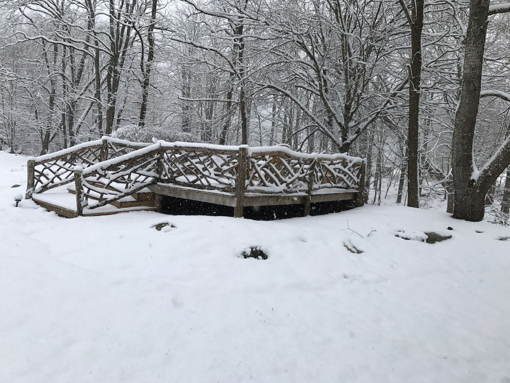 Un pont en bois dans une forêt enneigée.