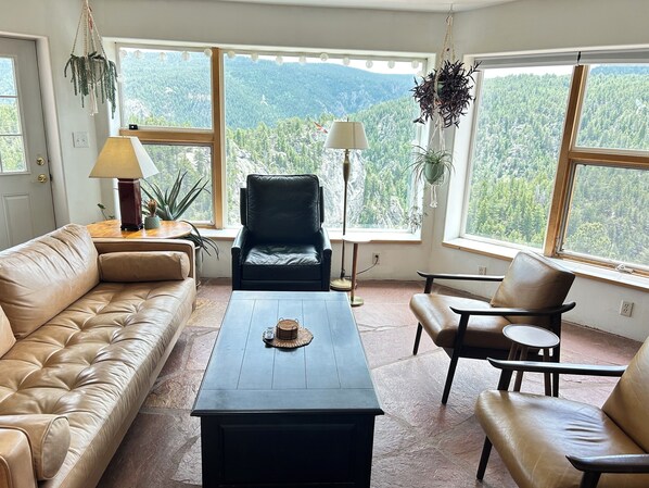 Smart TV, DVD player, books, music library